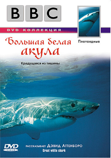 BBC: Большая белая акула (фильм, 1995) BBC: Большая белая акула (фильм, 1995)