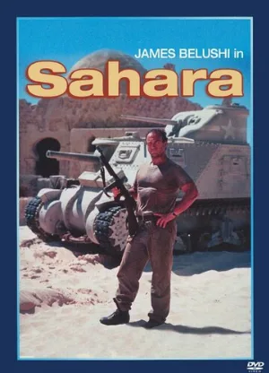 Сахара (фильм, 1995)