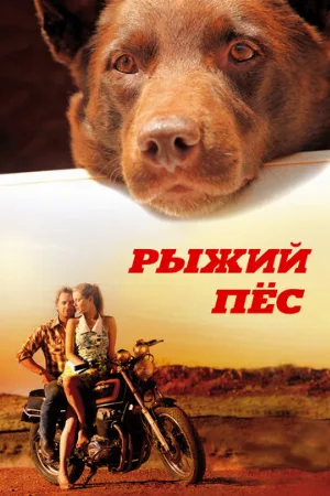 Рыжий пес (фильм, 2011)