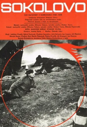 Соколово (фильм, 1975)
