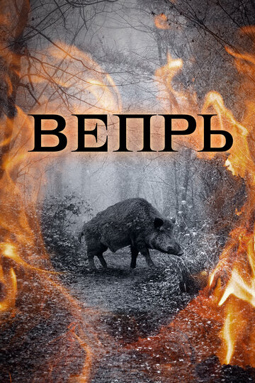 Сериал Вепрь (2005) смотреть онлайн