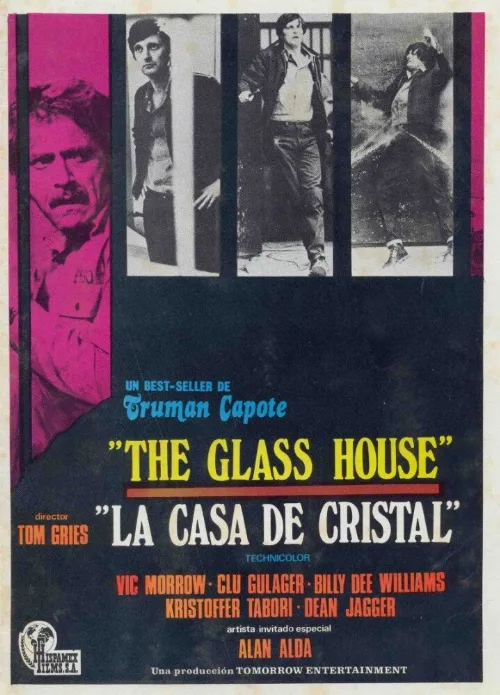 Стеклянный дом (фильм, 1972)