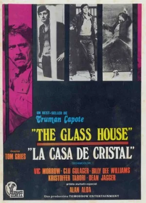 Стеклянный дом (фильм, 1972)