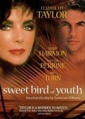 Сладкоголосая птица юности (фильм, 1989)