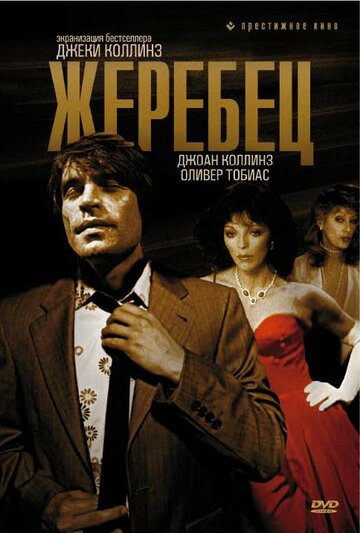 Жеребец (фильм, 1978) Жеребец (фильм, 1978)