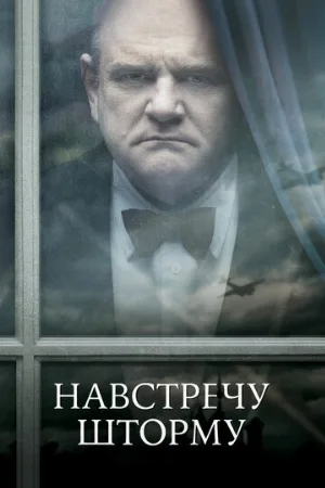 Навстречу шторму (фильм, 2009)