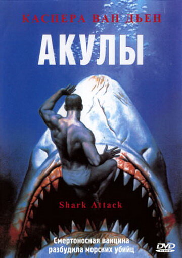 Фильм Акулы (1999) смотреть онлайн