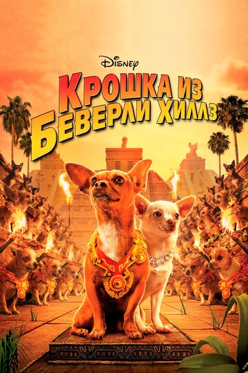 Фильм Крошка из Беверли-Хиллз (2008) смотреть онлайн