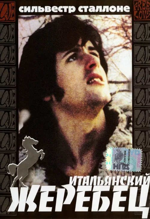 Итальянский жеребец (фильм, 1970) Итальянский жеребец (фильм, 1970)