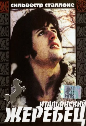 Итальянский жеребец (фильм, 1970)