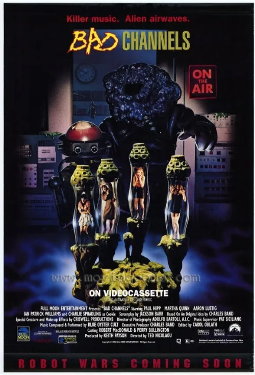 На опасной волне (фильм, 1992) На опасной волне (фильм, 1992)
