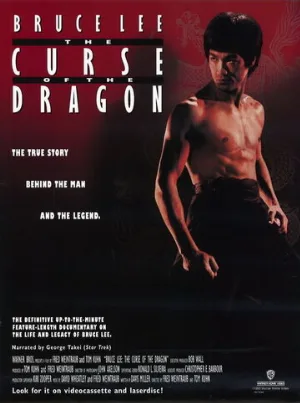 Проклятье дракона (фильм, 1993)