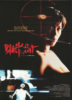 Чёрная кошка (фильм, 1991)