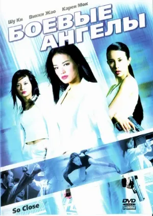 Боевые ангелы (фильм, 2002) Боевые ангелы (фильм, 2002)