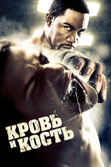 Фильм Кровь и кость (2009) смотреть онлайн