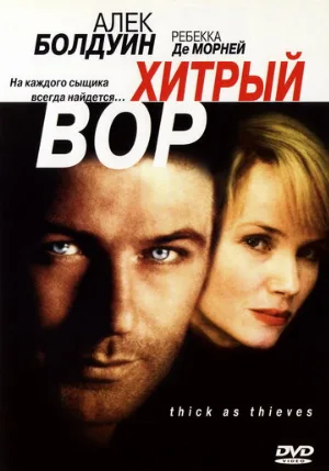 Хитрый вор (фильм, 1998)