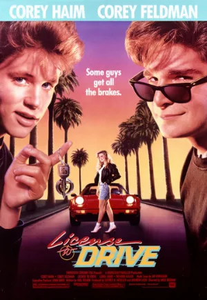 Водительские права (фильм, 1988)