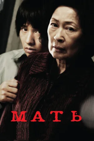 Мать (фильм, 2009)