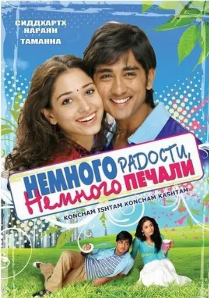 Немного радости, немного печали (фильм, 2009)