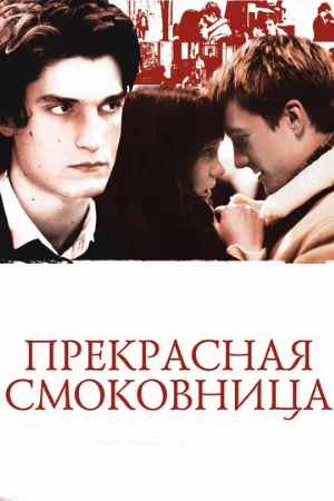Прекрасная смоковница (фильм, 2008)