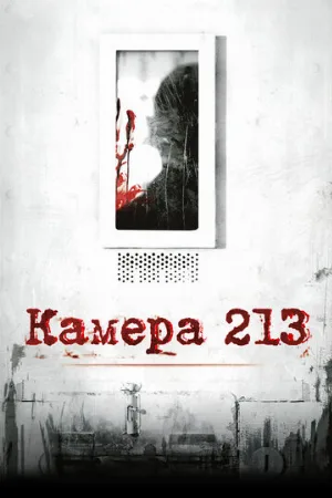 Камера 213 (фильм, 2011)
