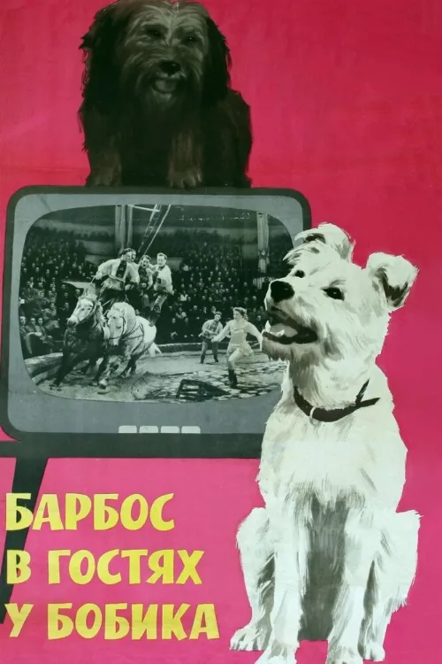 Барбос в гостях у Бобика (фильм, 1964) Барбос в гостях у Бобика (фильм, 1964)