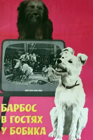 Барбос в гостях у Бобика (фильм, 1964)