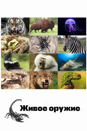 Живое оружие (тв-шоу, 2016)
