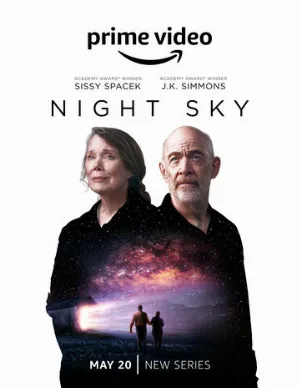 Ночное небо (сериал, 2022)