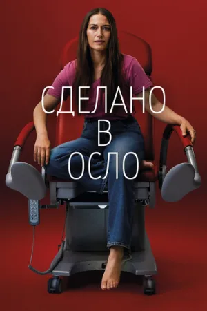Сделано в Осло (сериал, 2022)