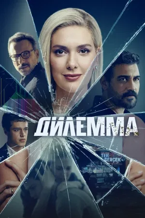 Дилемма (сериал, 2024)