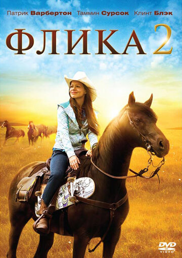 Фильм Флика 2 (2010) смотреть онлайн