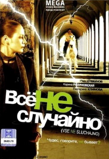 Все не случайно (фильм, 2009)