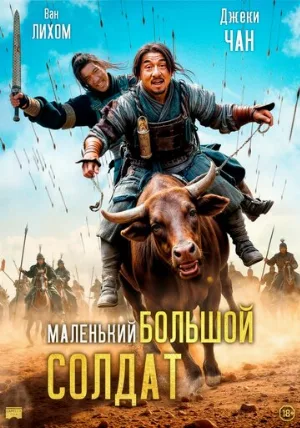 Маленький большой солдат (фильм, 2010)