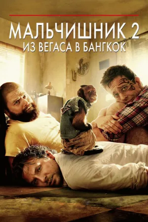 Мальчишник 2: Из Вегаса в Бангкок (фильм, 2011) Мальчишник 2: Из Вегаса в Бангкок (фильм, 2011)