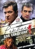 Реквием для свидетеля (сериал, 2009)