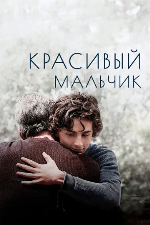 Красивый мальчик (фильм, 2018)