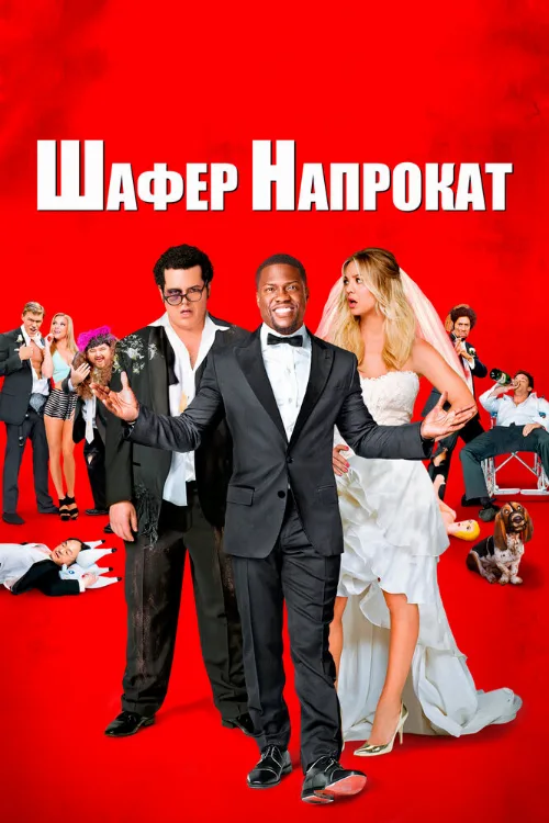 Шафер напрокат (фильм, 2015)