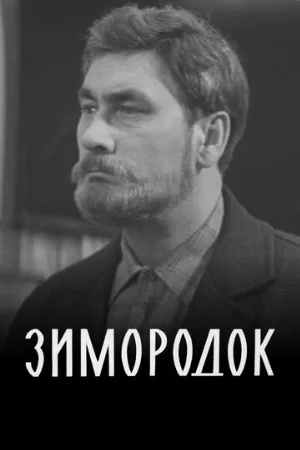 Зимородок (фильм, 1972)