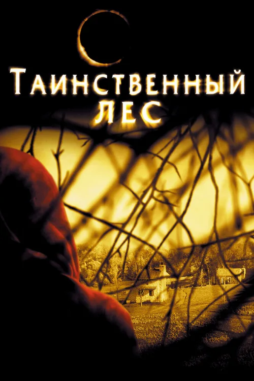 Таинственный лес (фильм, 2004)