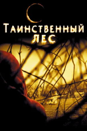 Таинственный лес (фильм, 2004) Таинственный лес (фильм, 2004)