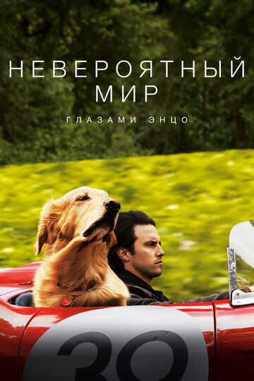 Фильм Невероятный мир глазами Энцо (2019) смотреть онлайн