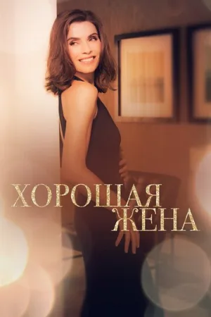 Хорошая жена (сериал, 2009)