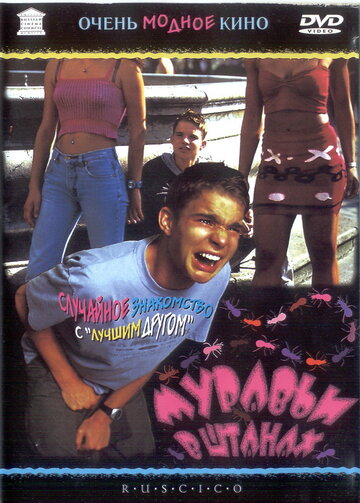 Фильм Муравьи в штанах (2000) смотреть онлайн