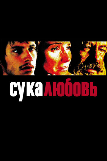 Фильм Сука-любовь (2000) смотреть онлайн