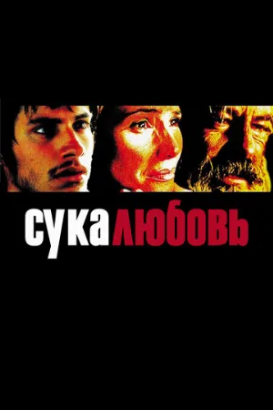 Сука-любовь (фильм, 2000)