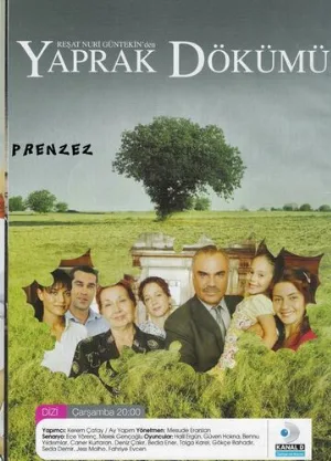 Листопад (сериал, 2006)