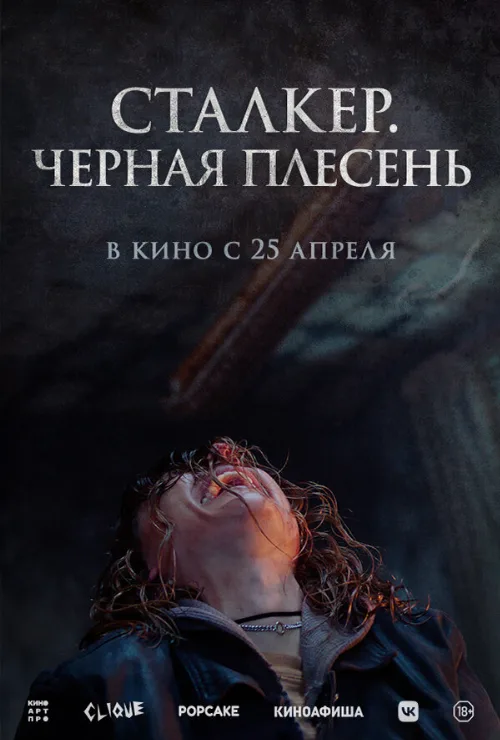 Сталкер. Черная плесень (фильм, 2023) Сталкер. Черная плесень (фильм, 2023)
