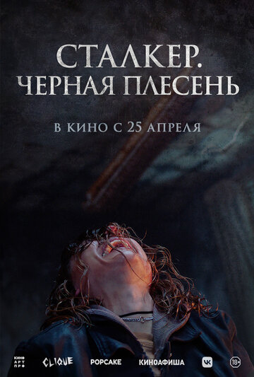 Постер фильма Сталкер. Черная плесень 2023 года Постер фильма Сталкер. Черная плесень 2023 года