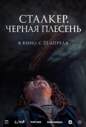 Сталкер. Черная плесень (фильм, 2023)